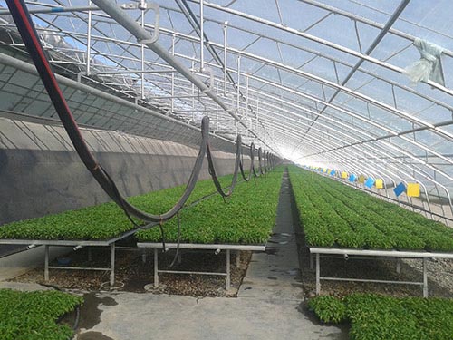 �쾉�N�I(y��)